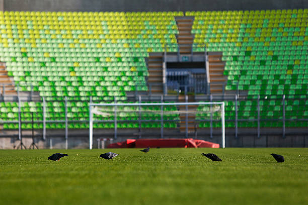 2020河南足球裁判员培训与比赛:公正执法的背后