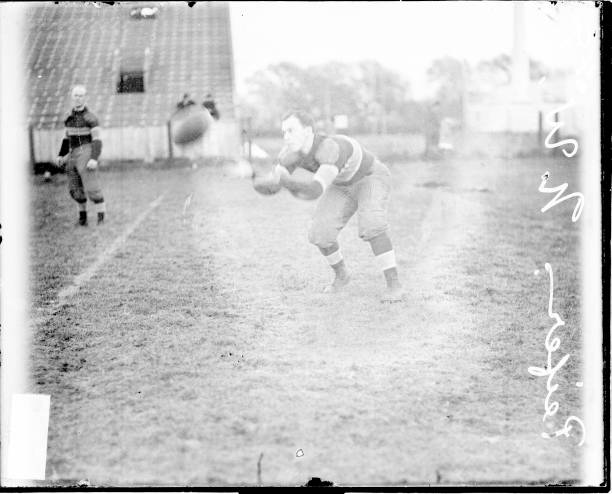 全红婵近况：家庭、训练与未来的平衡之道