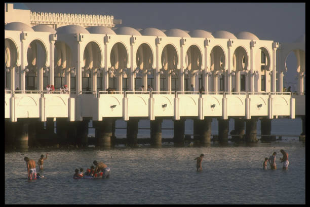 游泳姿势全面对比:速度、耗能、难度大揭秘