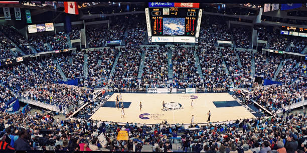 CBA常规赛：青岛国信对阵上海久事，赛前前瞻与预测