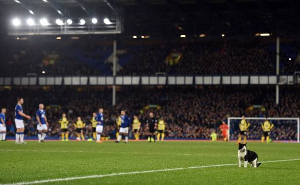 曼联梦剧场迎哈兰德？索帅或重启转会谈判