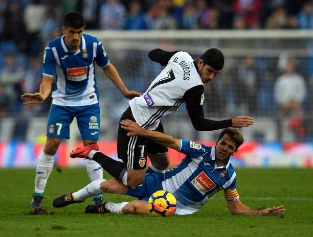 88米的优雅大师：博格坎普身高如何塑造他的足球哲学