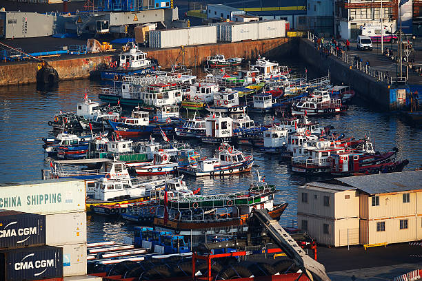 菲戈点评C罗欧洲杯征程：年龄不是问题，斗志才是关键