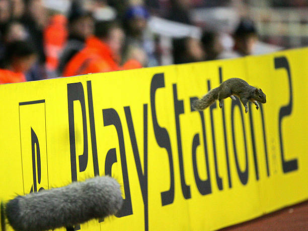 德乙战报：绝杀逆转！汉堡3-2险胜冲甲再进一步?