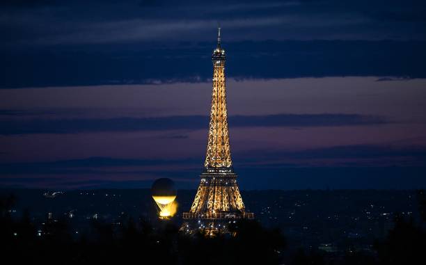 晶晶在奥运赛事中的角色:吉祥物如何提升赛事氛围