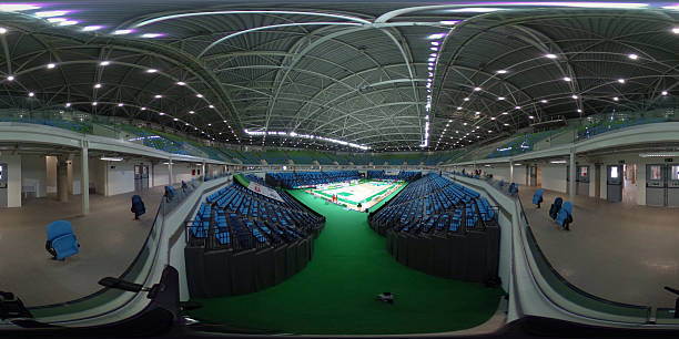 陈芋汐：新一代跳水女皇的诞生