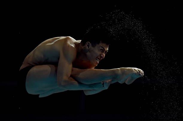 除了吴敏霞，陈若琳还有哪些知名队友？