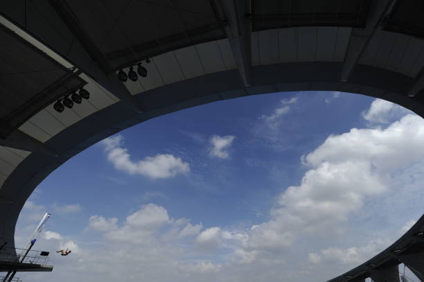 吴敏霞的技术与风格：为何她被誉为跳水皇后