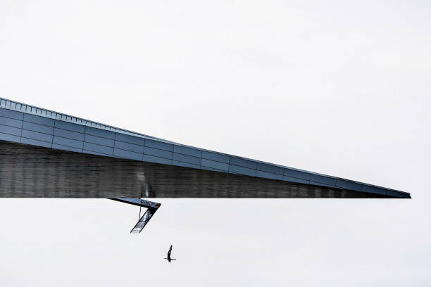 吴敏霞与施廷懋：中国跳水黄金搭档的故事