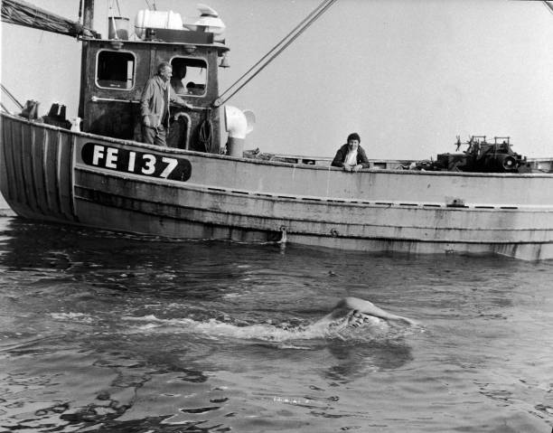 成人游泳教练培训：如何从零开始指导初学者