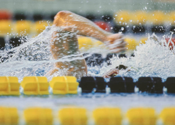 游泳时间与代谢关系：什么时候游最燃脂？