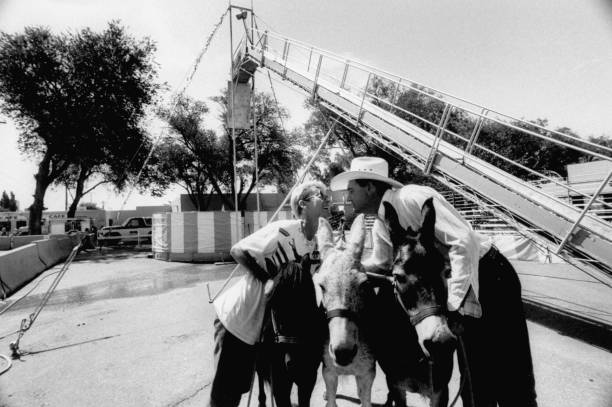 东莞一对一游泳培训10节课价格比较：不同游泳馆报价汇总