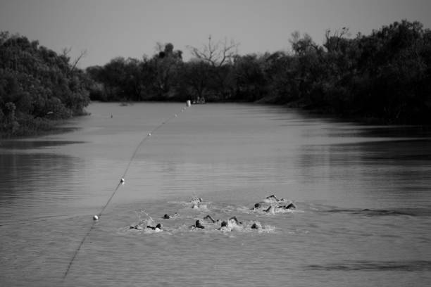 为什么室内游泳馆更适合家庭活动？