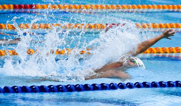 游泳世锦赛举办地特色：每个主办城市的独特魅力