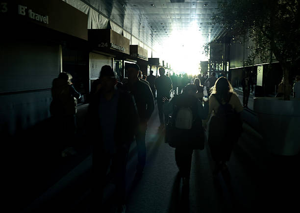 网球比分数据查询软件：精准获取比赛动态