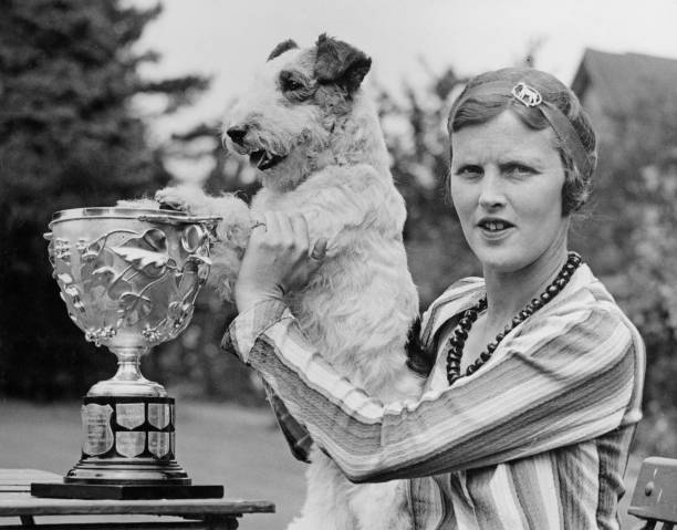 阿尔卡拉斯冲击澳网2025冠军：直播时间与观赛指南